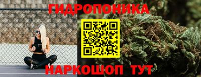 spice Балаково